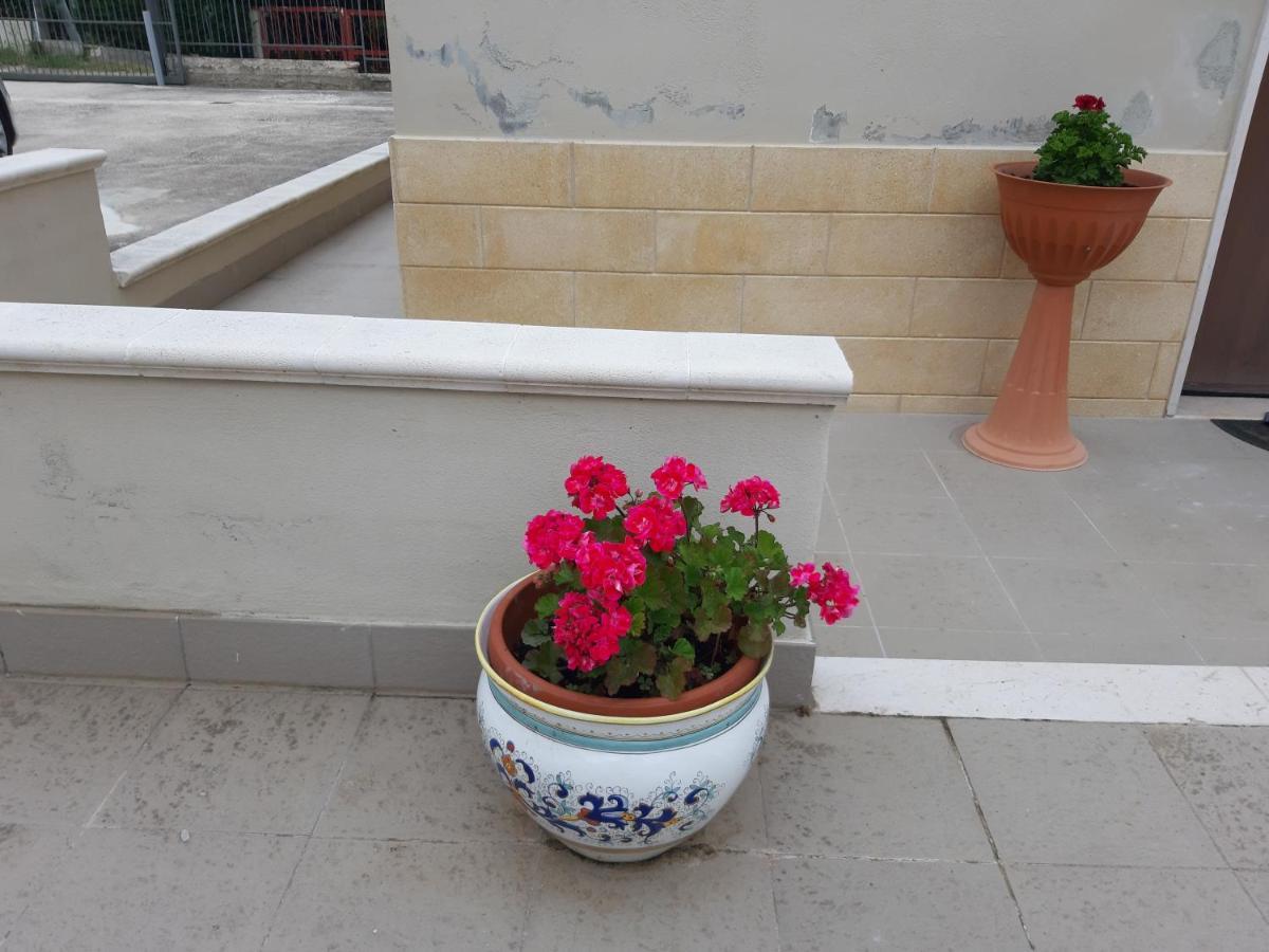 הוילה מטרה La Collinetta Dei Sassi מראה חיצוני תמונה